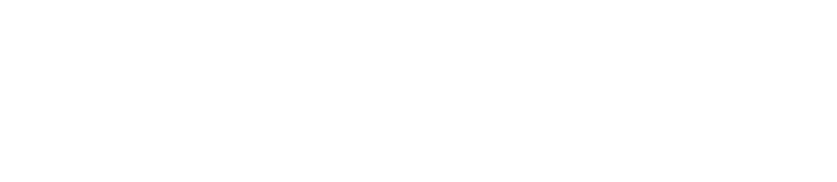 Austin logo